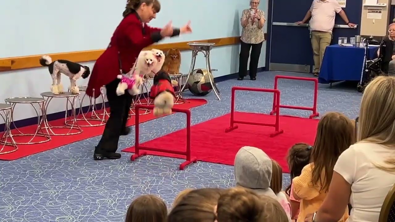 Menestrelli Circus Dog Show