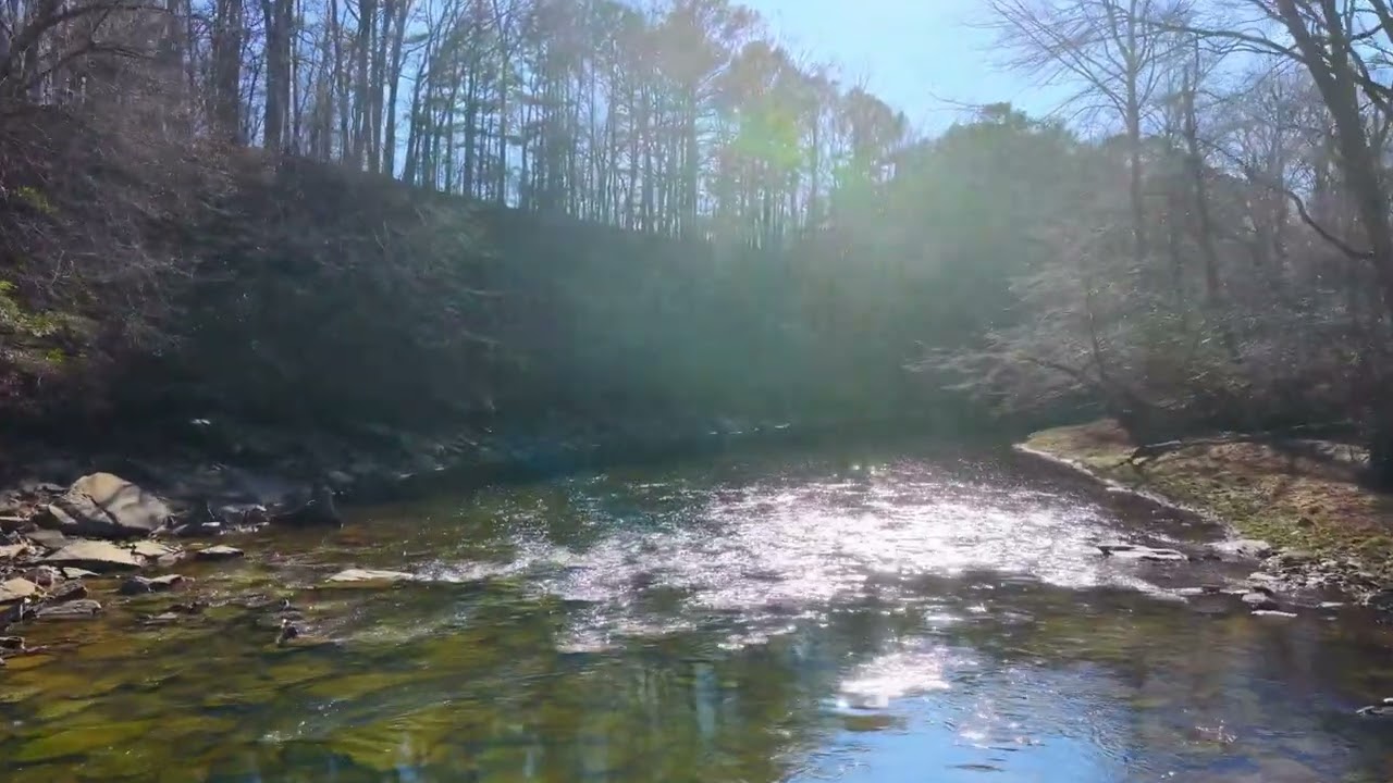 200 +/- Acres County Road 970 Logan, AL 35098