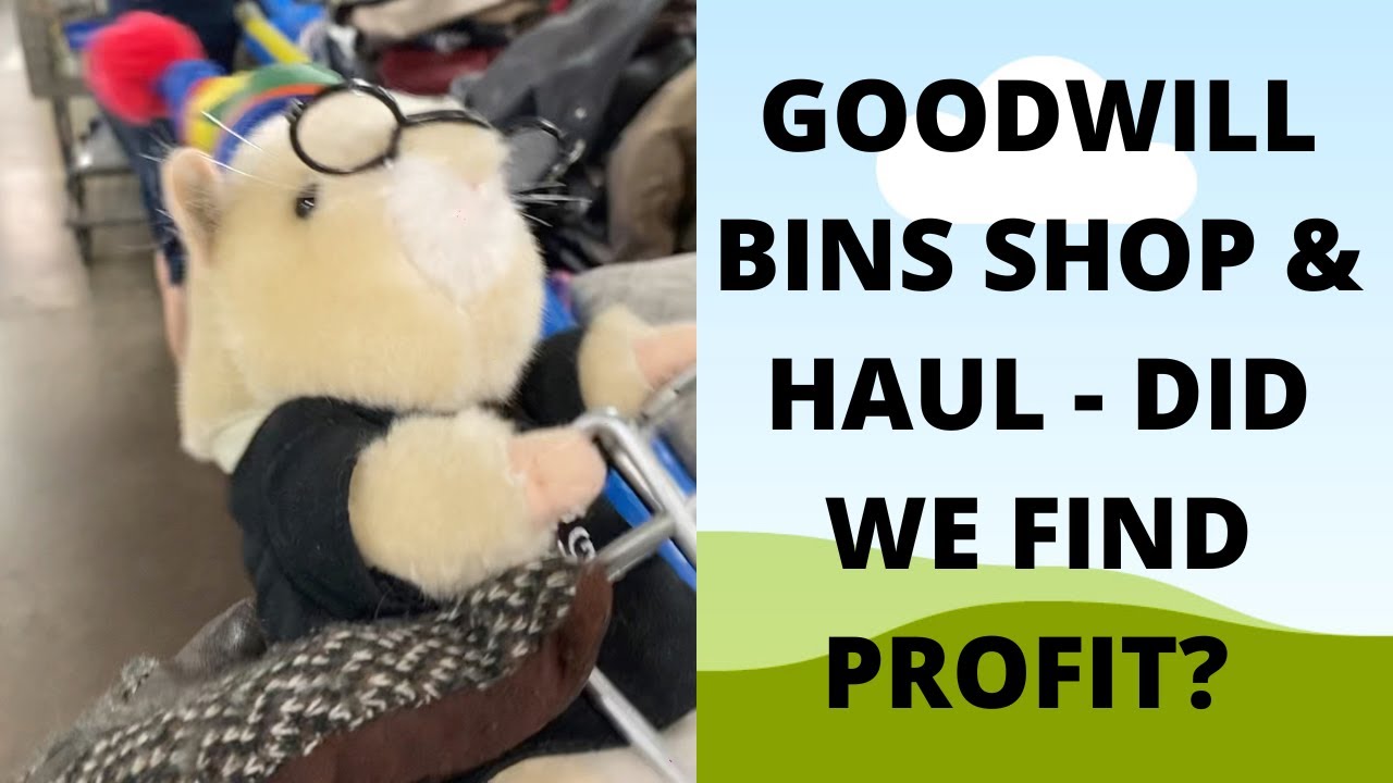 Goodwill Shop & Haul 6 30