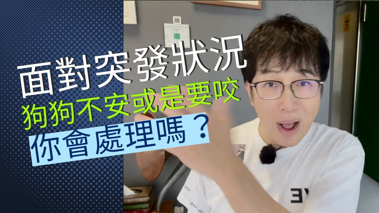狗面對突發狀況該怎麼做？你的狗躁動不安、吠叫、暴衝甚至想要咬對方時怎麼辦？，拉緊繩子？打牠？罵牠？跟牠說好乖？把牠帶開？讓牠坐下？趴下？看你？