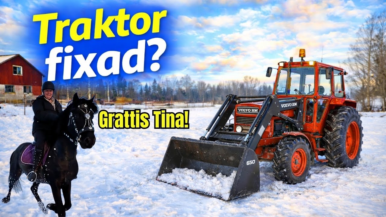 Kan felet på traktorn vara löst? Vi säljer en häst – och Tina fyller år!