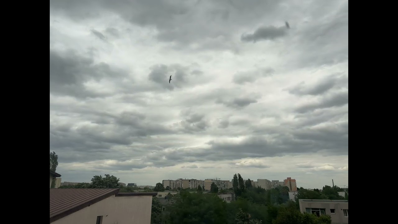 ReeLapse timelapse