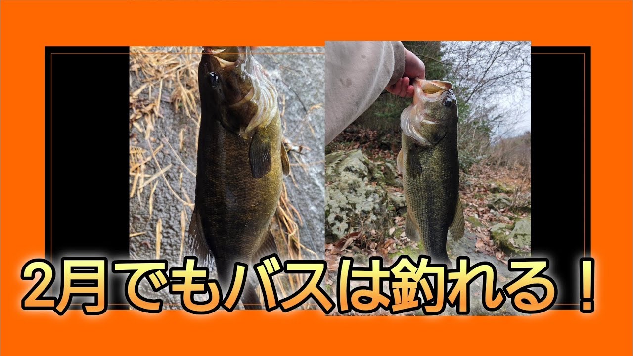 天候に恵まれた2月末のバス釣り