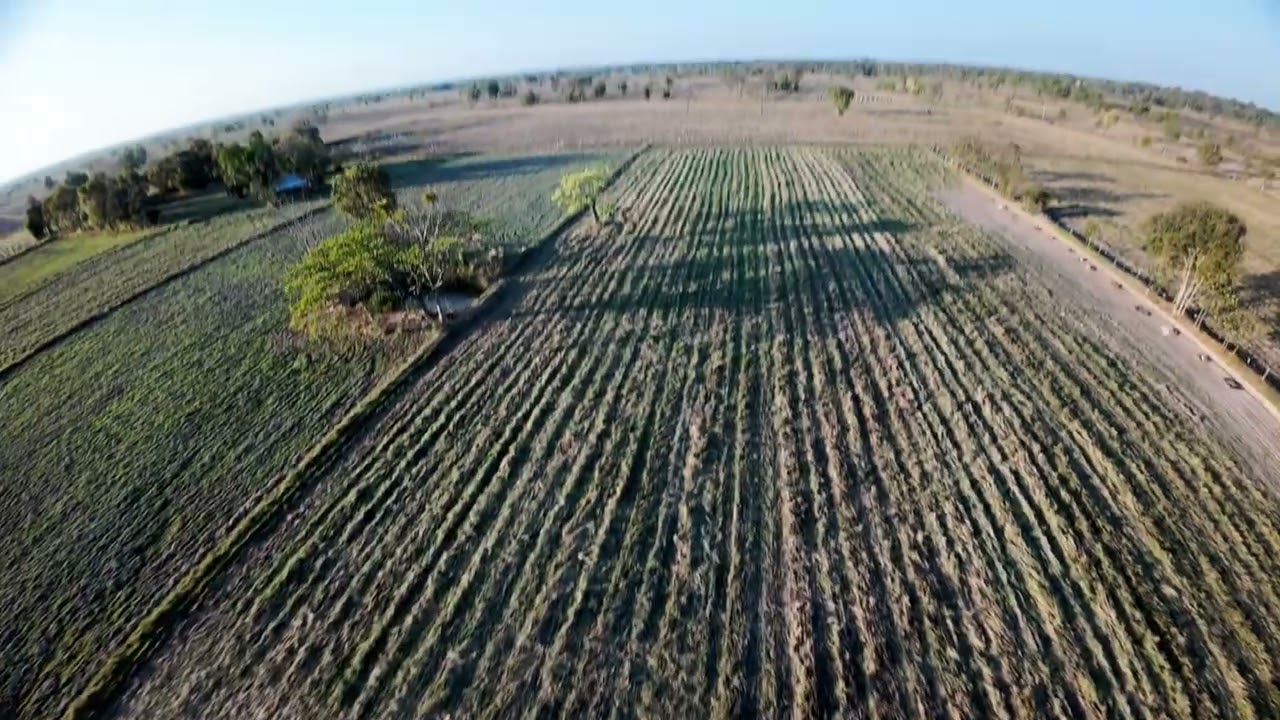My First Flight with FPV Drone | Cinematic Aerial with FPV drone 5 inch.
