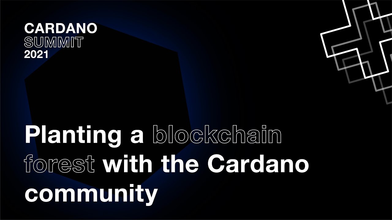 Veritree's global land restorations now powered by the Cardano blockchain