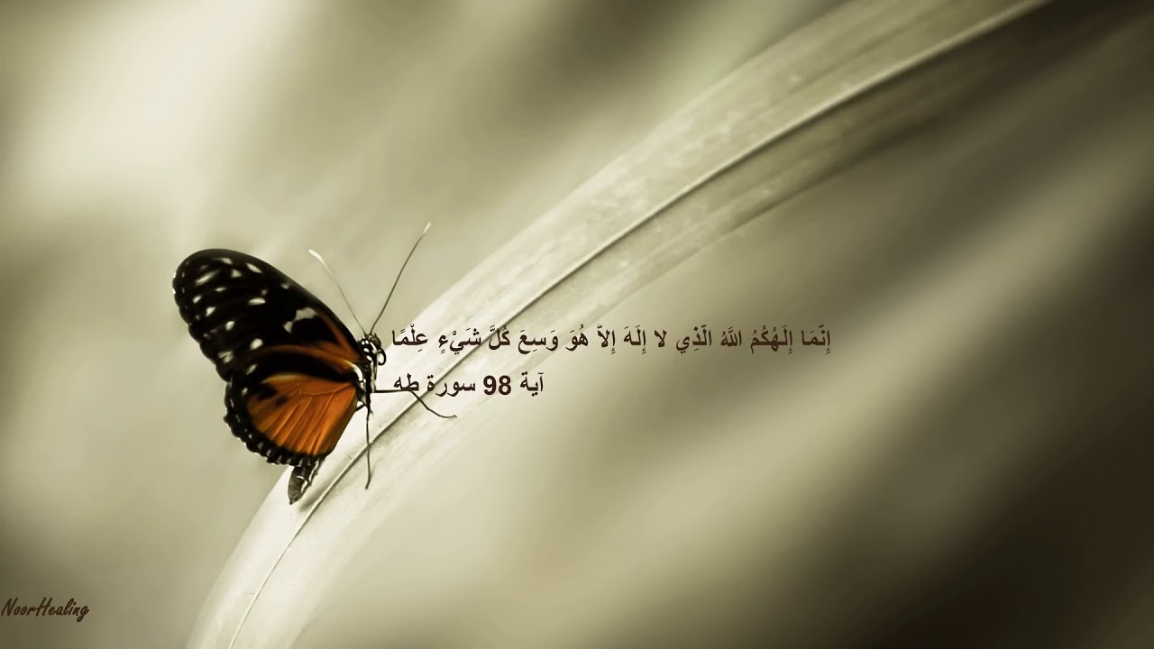 Al quran r&eacute;citation relaxante de la Source Taha pour le soulagement du stress😥