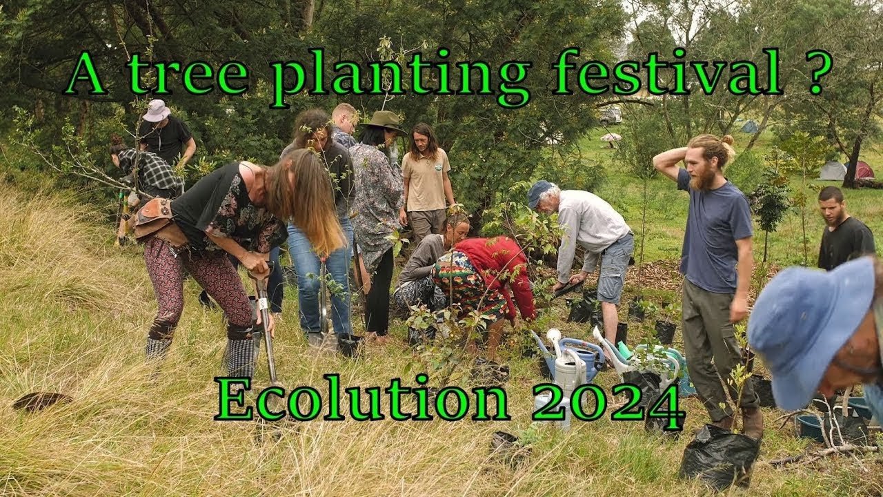 Ecolution 2024- a tree planting festival on the Garden Route
