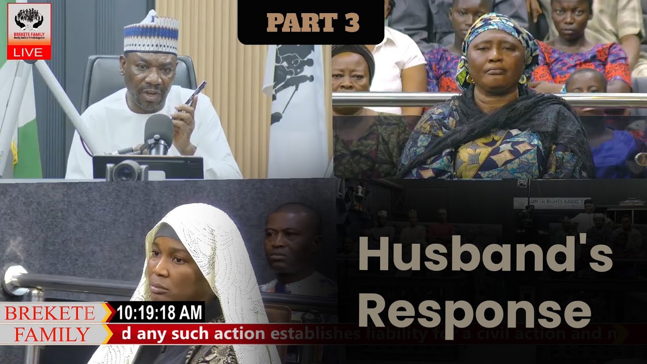 Part 3 - Allegations of Domestic Abuse and Withheld Money: Husband’s Response