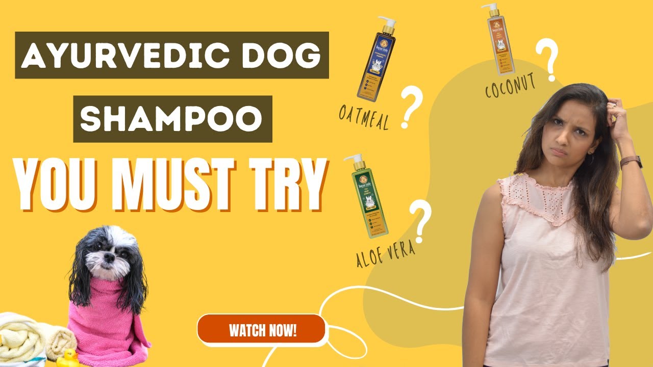 AYURVEDIC DOG SHAMPOO | Your Must Try!