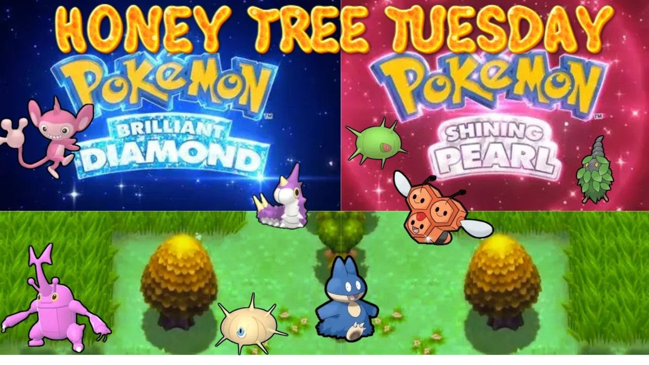 Honey Tree Tuesday is Back