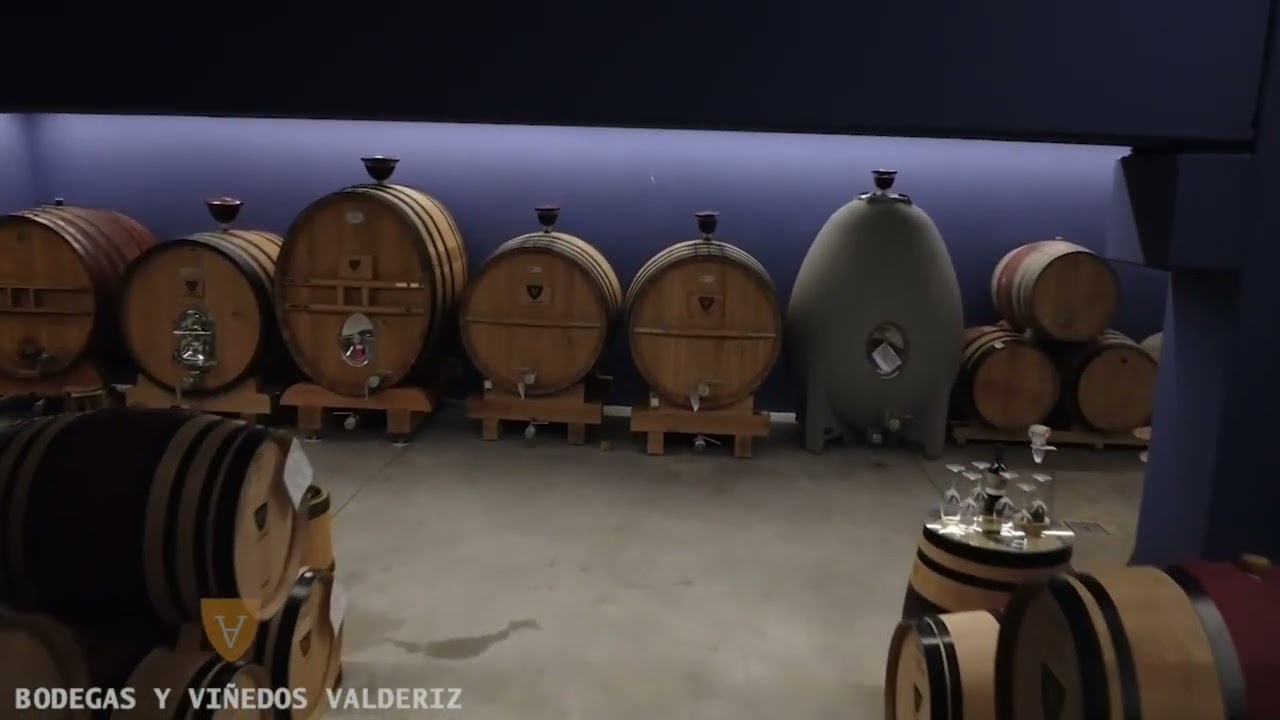 Bodegas y Viñedos Valderiz