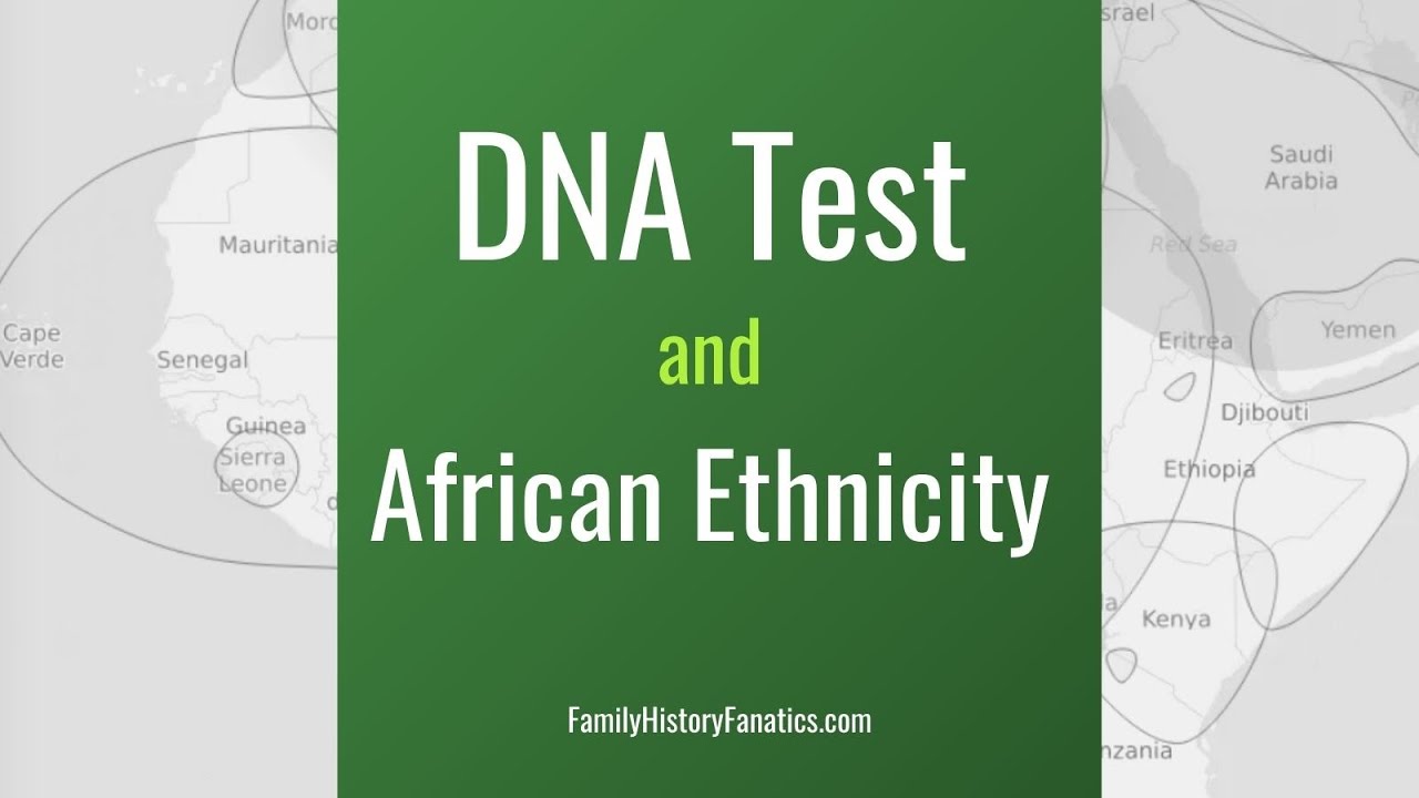 African DNA: Which DNA Test is the Better? | Genetic Genealogy