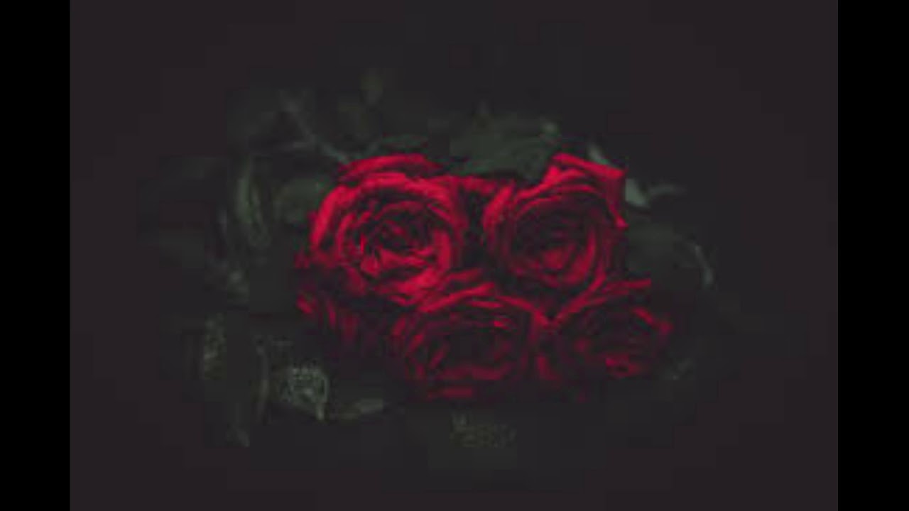 SAINt JHN - Roses & TUJAMO - Who