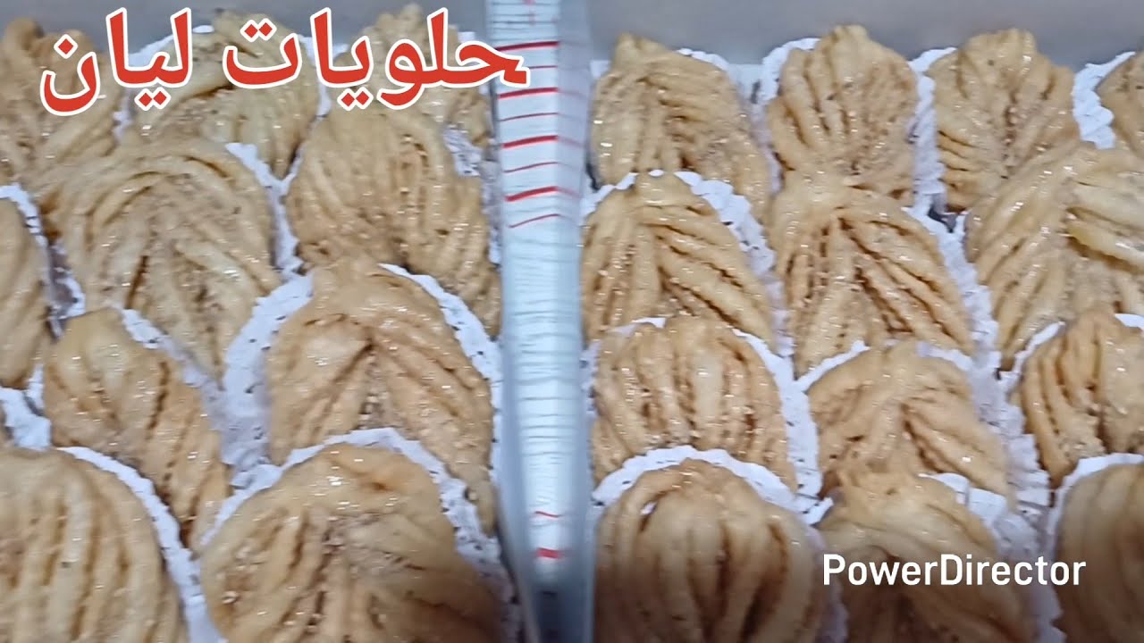 قريوش السنبلة بدون تعقيدات ناجحة 100\100 مع سعر البيع