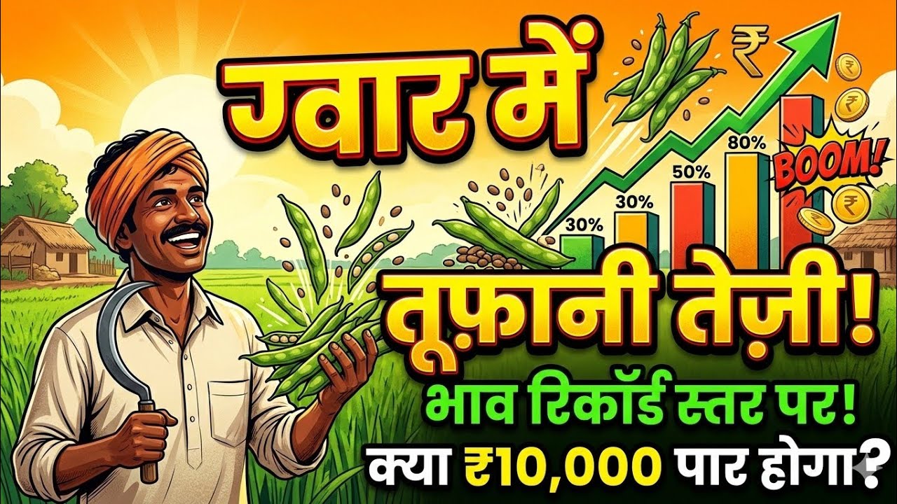 ग्वार में तेज़ी || इजरायल ईरान युद्ध से ग्वार में तेज़ी (@tmbr111)#gwar 