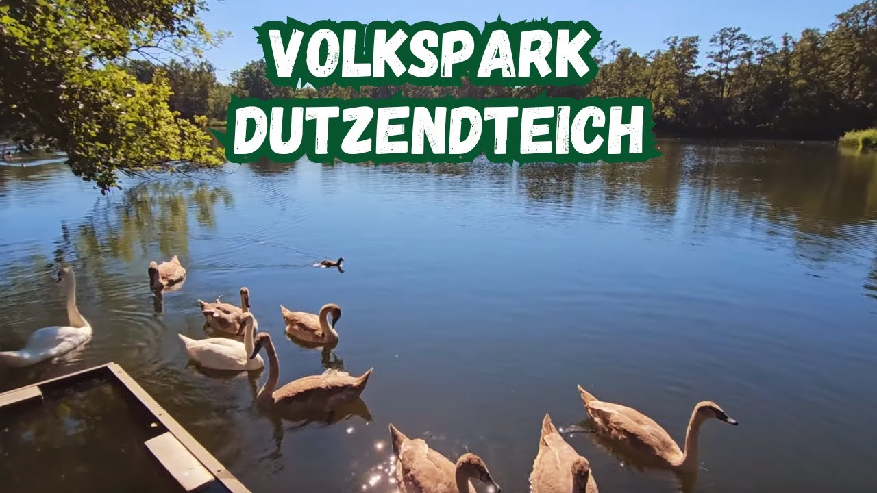 Nürnberg: Volkspark Dutzendteich