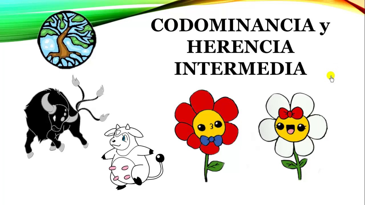 CODOMINANCIA y HERENCIA INTERMEDIA