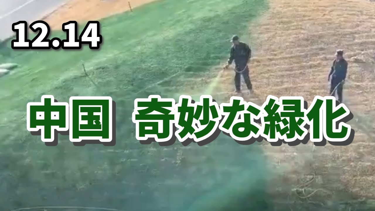 中国  奇妙な緑化