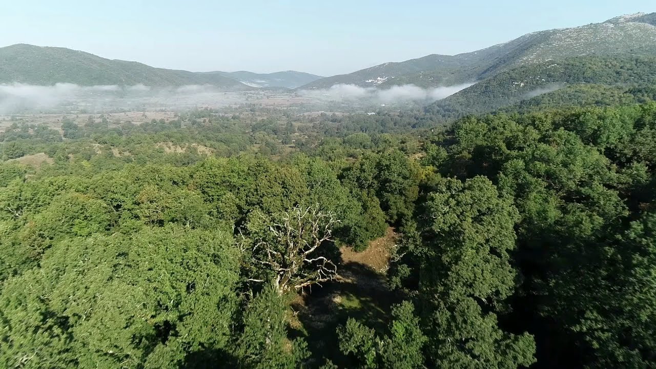 ΙΕΡΑ ΔΑΣΗ ΖΑΓΟΡΙΟΥ (Documentary)