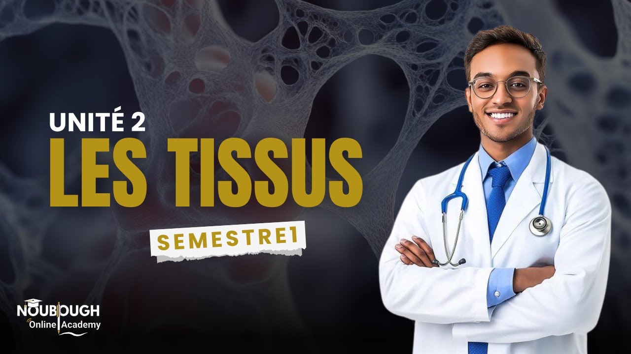 unité 2 - les tissus {ispits} - s1