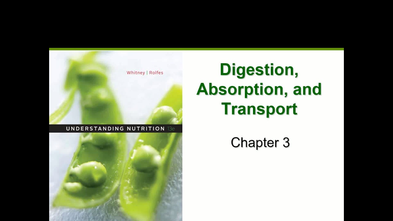 Digestion, Absorption, & Transport (Chapter 3)