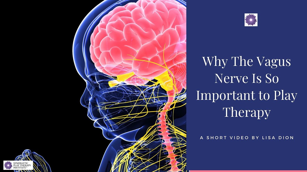 ✨ Why the Vagus Nerve is Key in Play Therapy