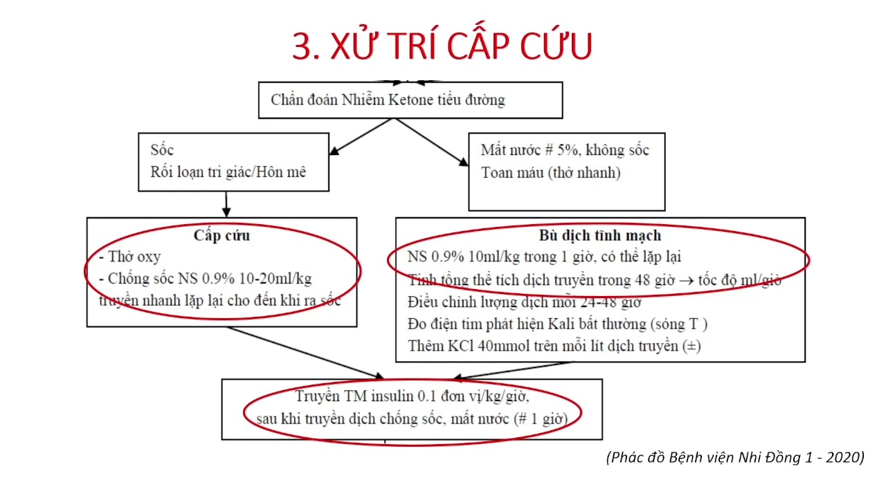 [DÀNH CHO NHÂN VIÊN Y TẾ] HÔN MÊ TIỂU ĐƯỜNG NHIỄM CETON. PGS.TS. PHẠM VĂN QUANG- TRƯỞNG KHOA HSTCCĐ