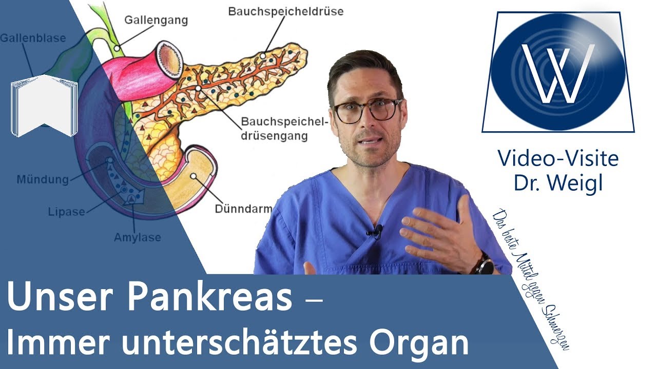 Unser Pankreas: Total unterschätzt ⏩ Anatomie, Funktion & Erkrankungen unserer Bauchspeicheldrüse