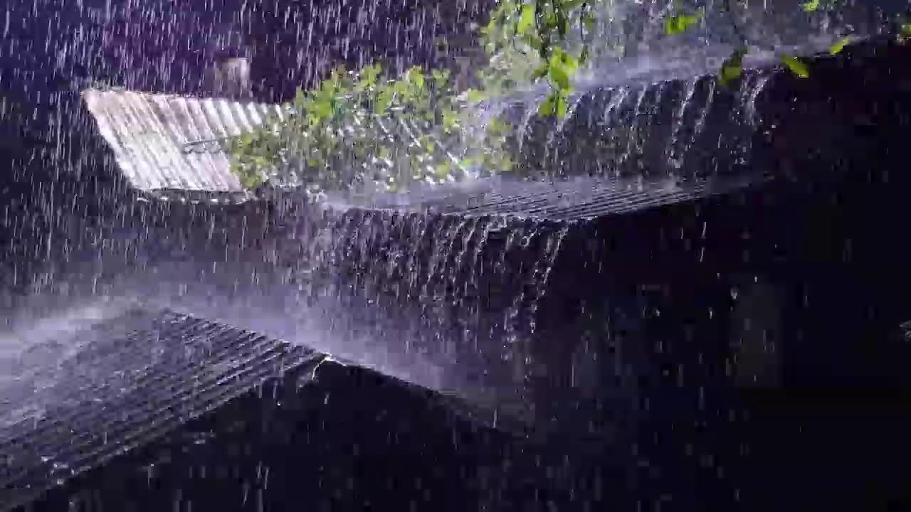 Fall Into Deep Sleep | Rain on Tin Roof with Rolling Thunder