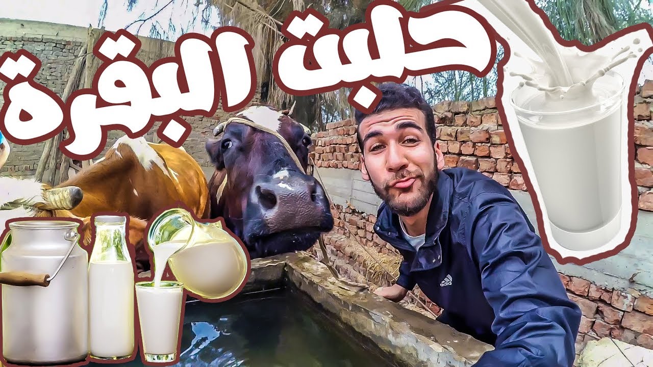 Vlog-01 حافظ علي الناس اللي بتحبك