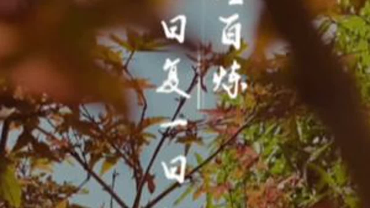 千锤百炼，日复一日，视而不见，两耳不闻，今日达到百色市田阳区上镇村。#徒步环旅中国 #云游四海 #大美中国 #广西之行 #百色市