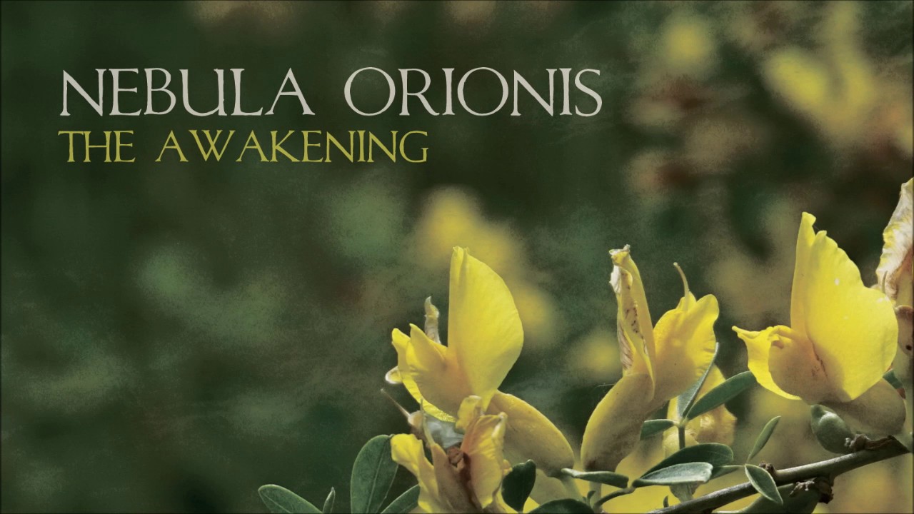 Nebula Orionis - Melting Sky