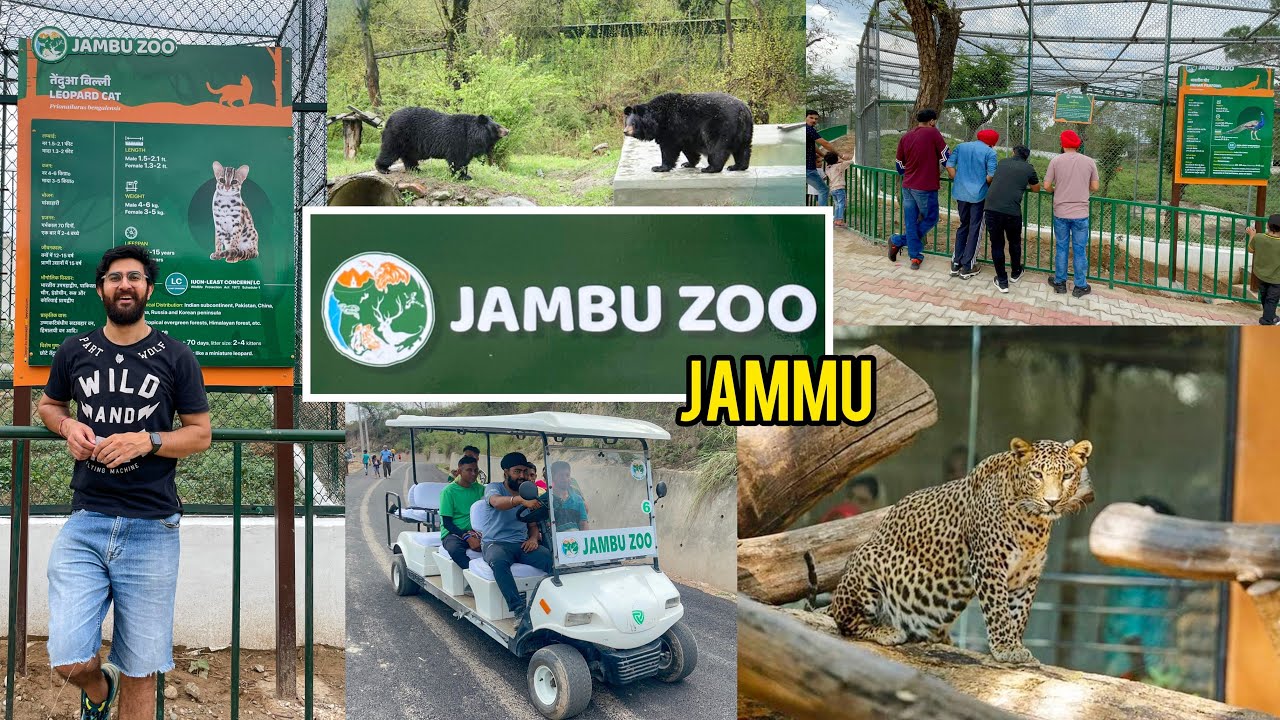 JAMBU ZOO IN JAMMU | Largest Zoo of North India | Leopard | Bears | Crocodiles | DSBOSSKO VLOGS