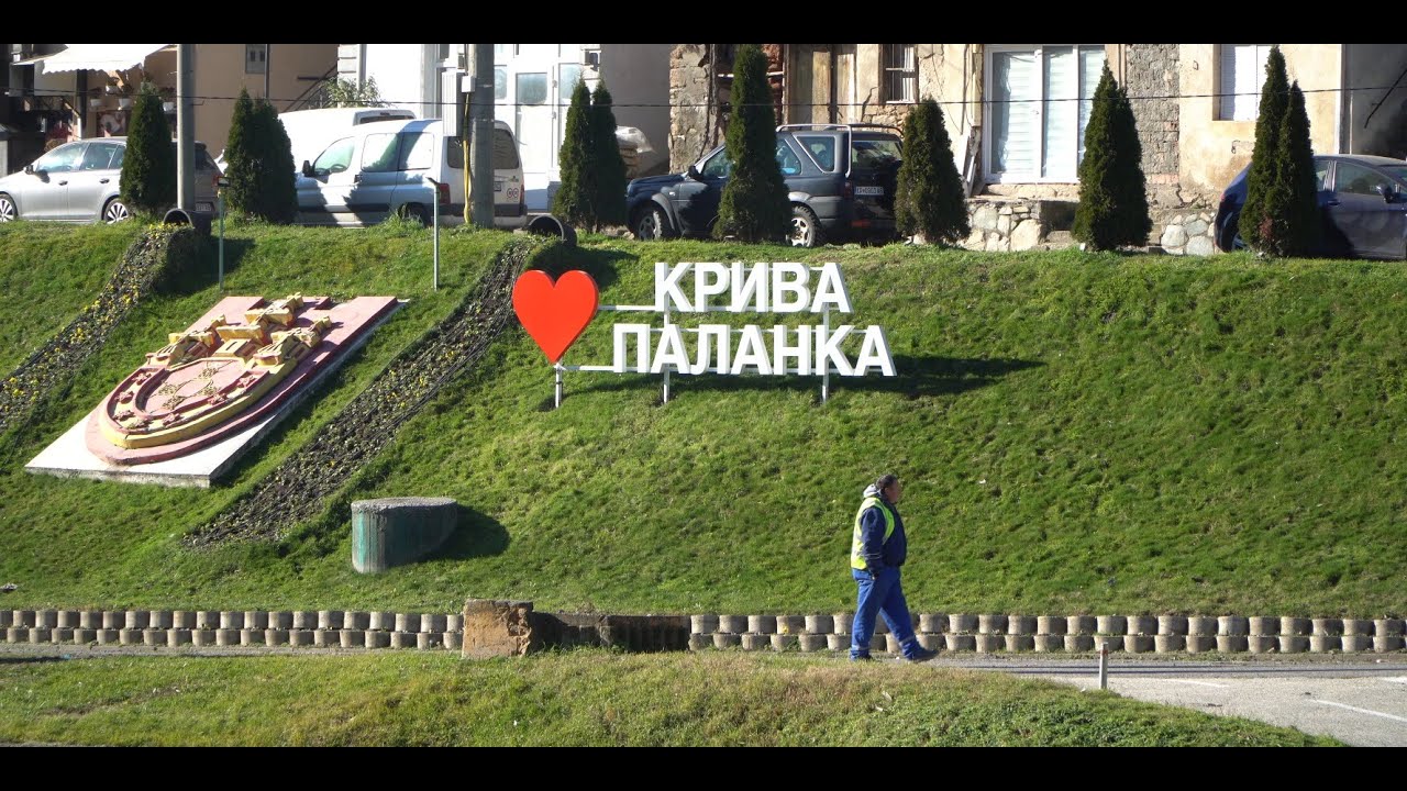 [РЕПОРТАЖА] Со години, стотици крави без надзор лутаат низ #КриваПаланка