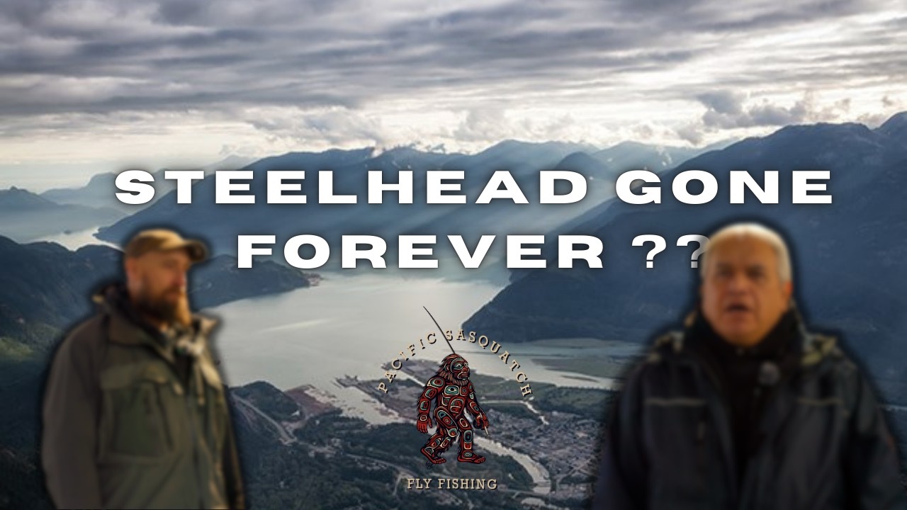 This Is Why Steelhead Are Disappearing
