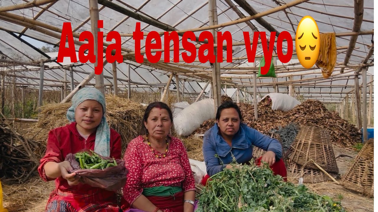 Volg eps-49 ghar aaipuge  pxi bahini birami vyer rudai call grera Tanab vyo ni sathi haru😔