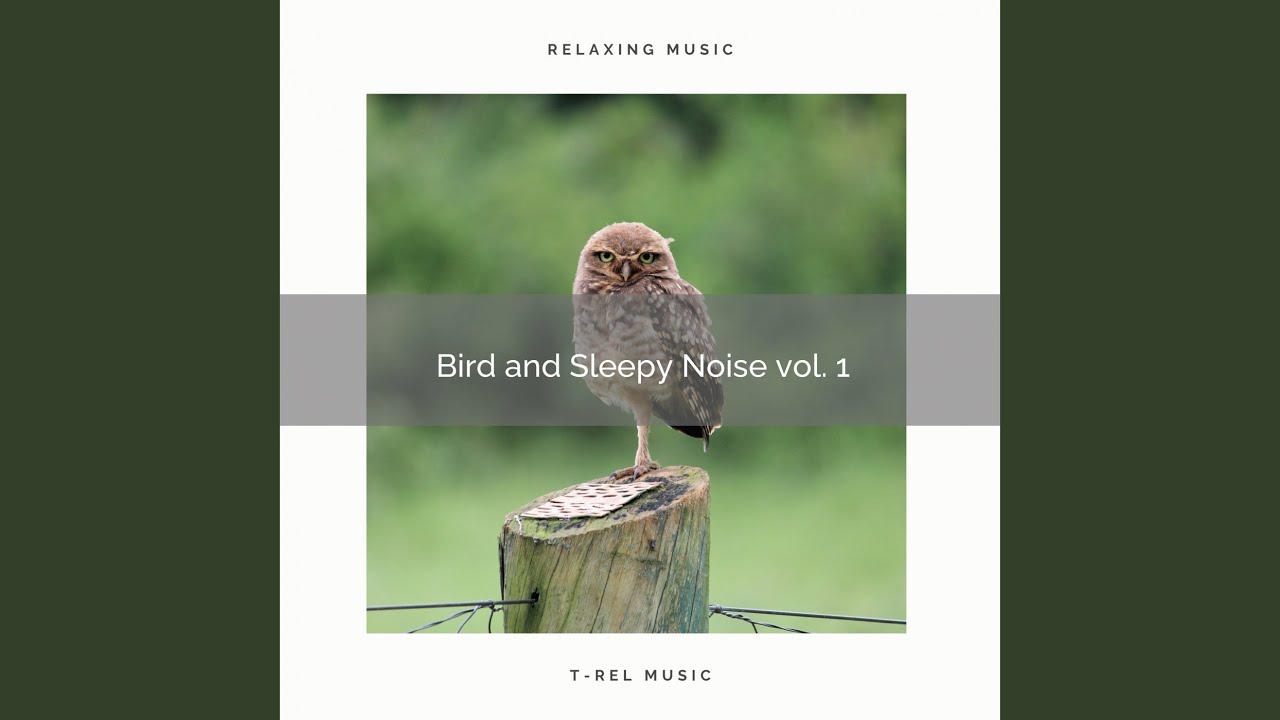 Sounds of the Country of White Noise with Bird Calls pt. 1