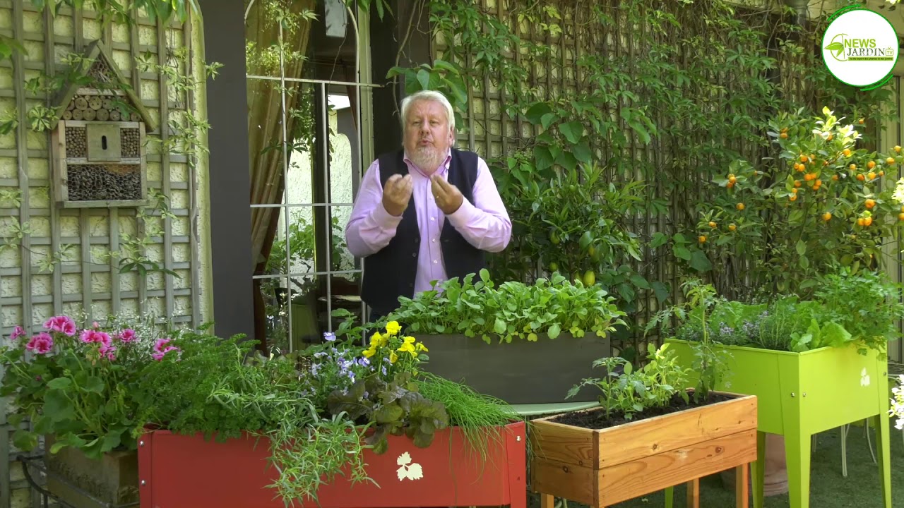 COMMENT NOURRIR LES PLANTES DU BALCON (Fleurs, Légumes, Fruits)