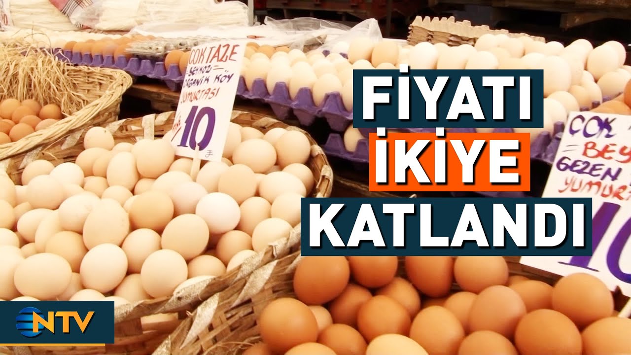 Yumurtanın Fiyatı 2 Kat Arttı! En Ucuz Yumurta Kaç TL? | NTV