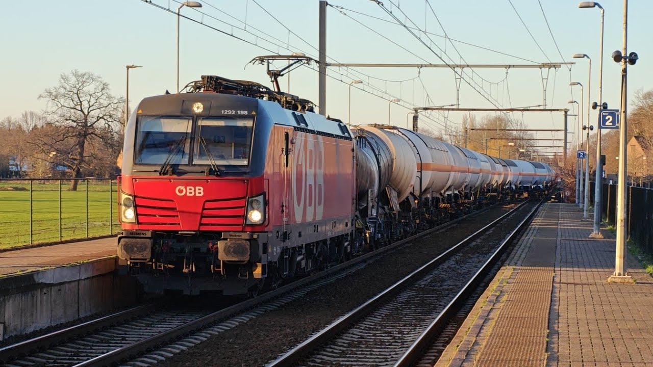 Trains Déviés à Sint-Mariaburg [4K]  ( 14/02/26 )