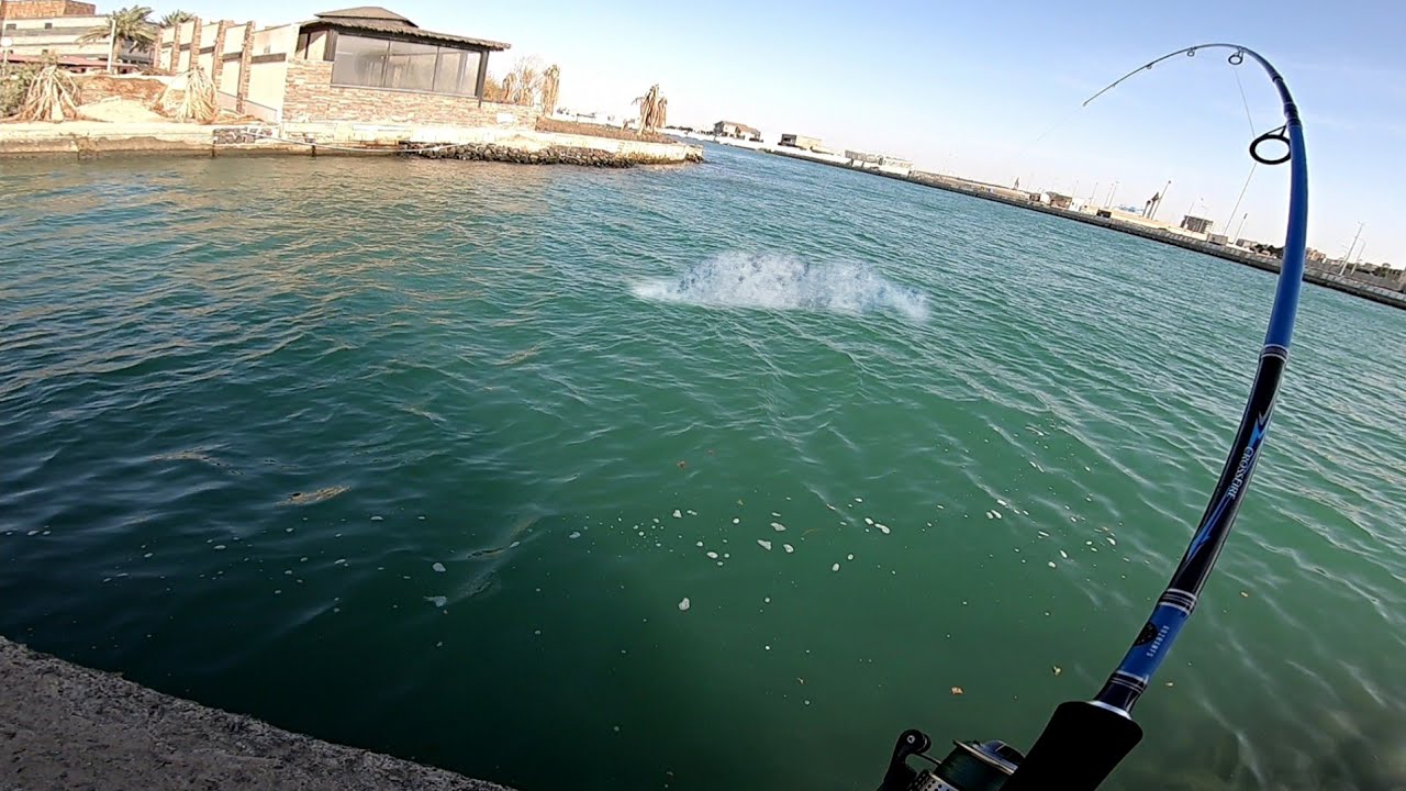 صيد السمك كاستنج جدة السعودية حداق لفاح البحر الاحمر - Fishing jeddah casting red sea Saudi Arabia