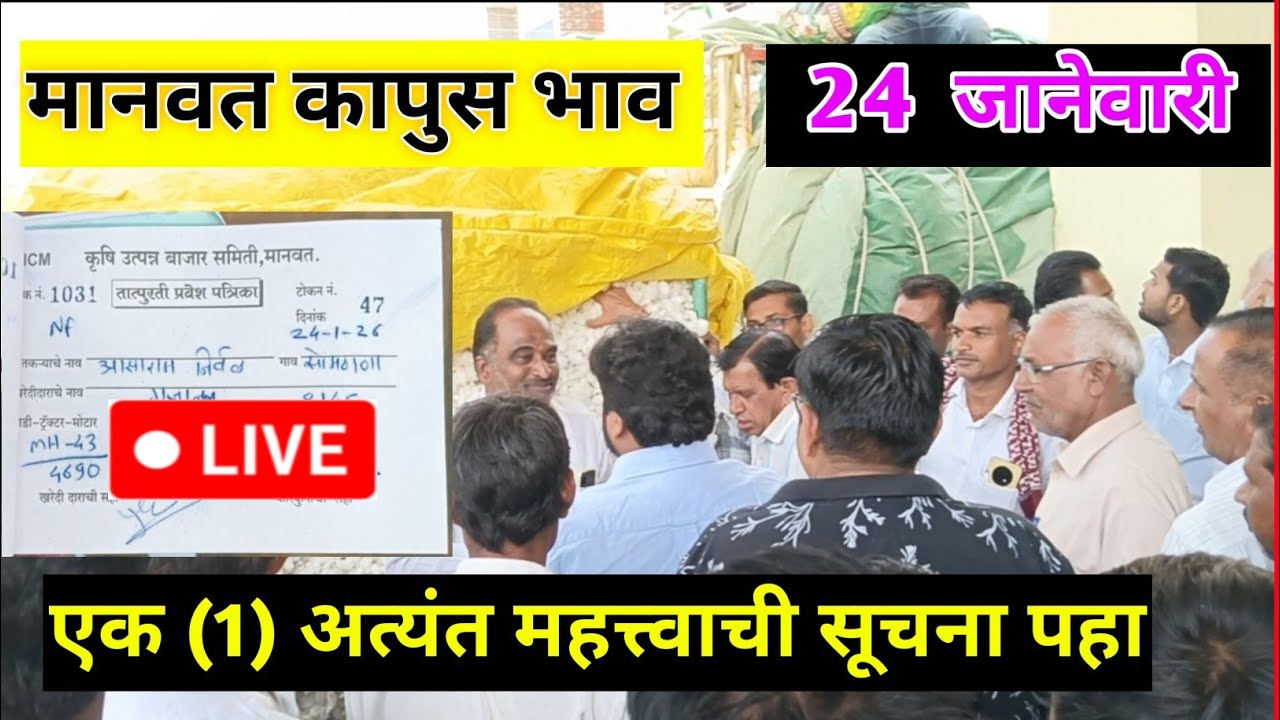 🔴24 जानेवारी 2026।मानवत कापूस भाव |Kapus bajar bhav।कापुस बाजार भाव आजचे।Kapus Bhav Today|8150|