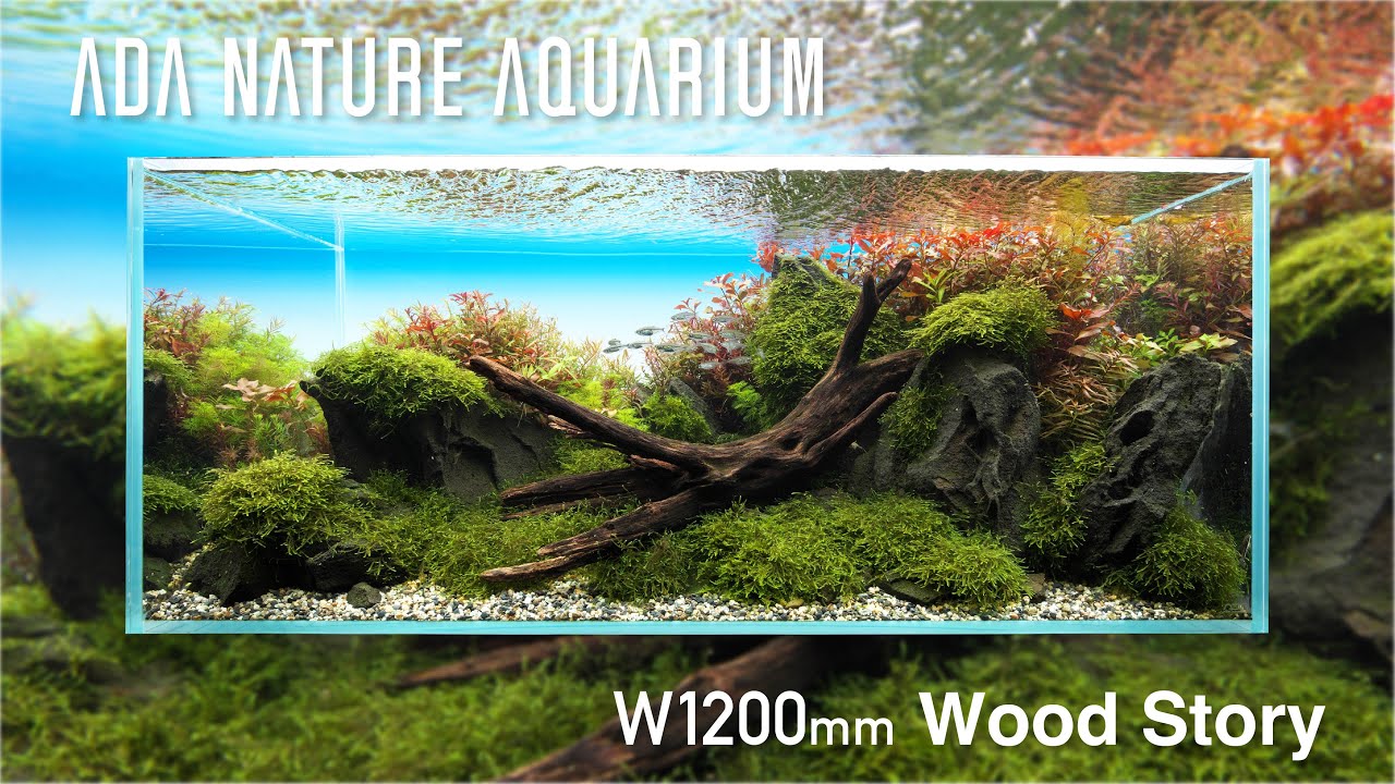 [ADAview] Wood story  -W1200mm NatureAquarium Layout-【EN/JP Sub.】