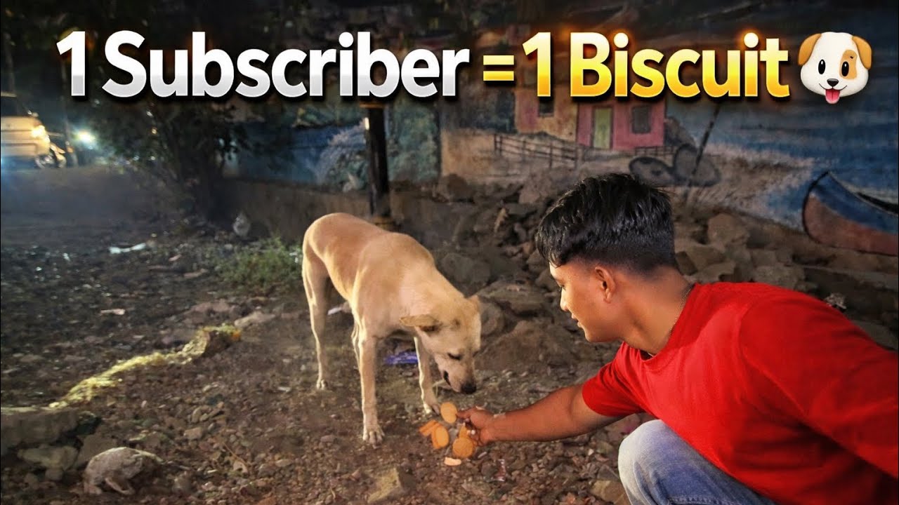 1 Subscriber = 1 Biscuit for Street Dogs 🐶❤️ Help Us Feed Them ( Challenge Video ) 