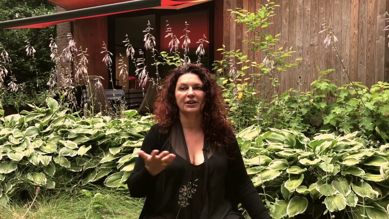 Why I Wrote The Wild Woman's Way