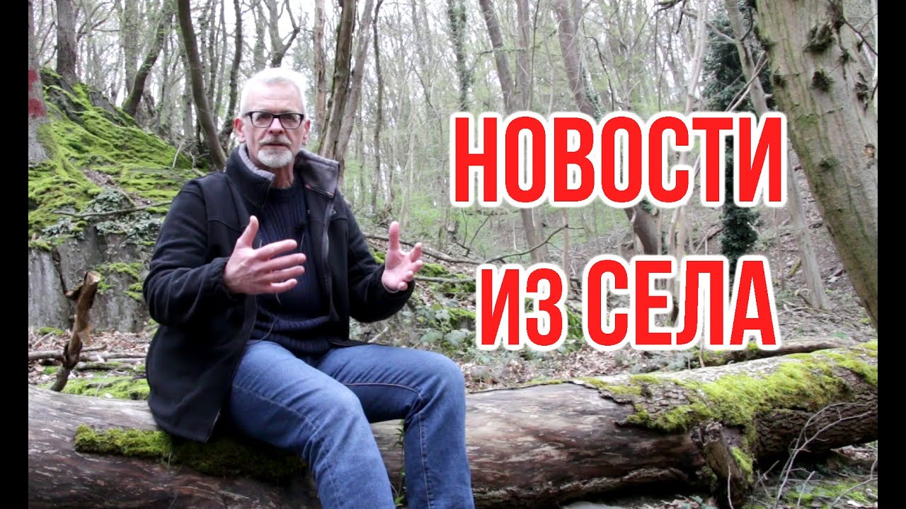 Моё село обстреляли ракетами  / Как там растения / Игорь Билевич