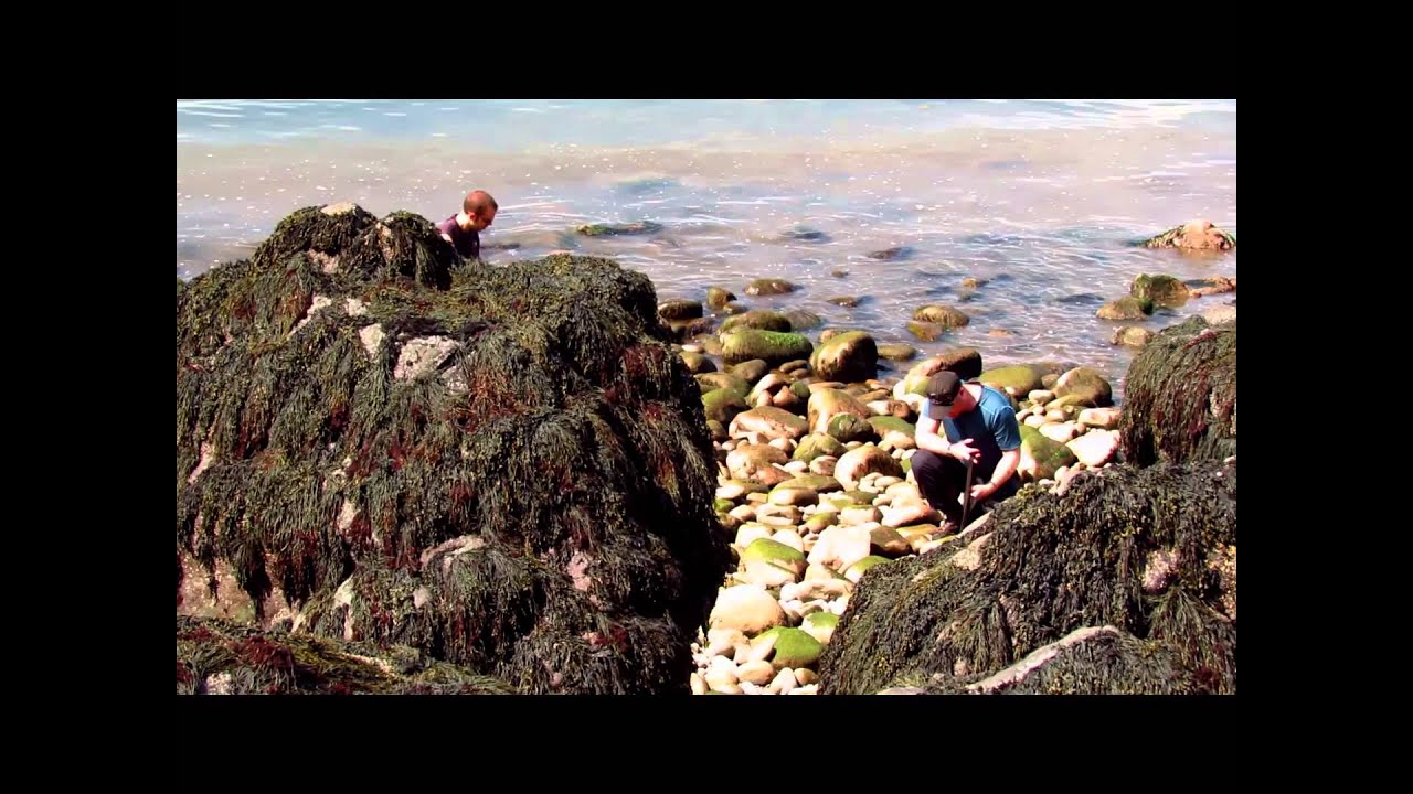 Lobster Hole. Cape Split, Nova Scotia