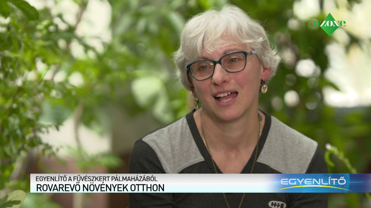 Rovarevő növények otthon - Dr. Eszéki Eszter