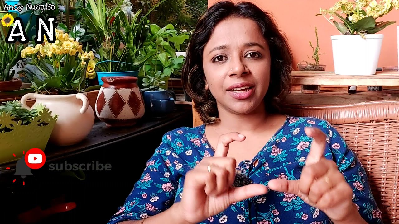 Travel with $0 Money. പണം ചെലവഴിക്കാതെ യാത്ര. Mallu Traveller Ancy Nusaifa