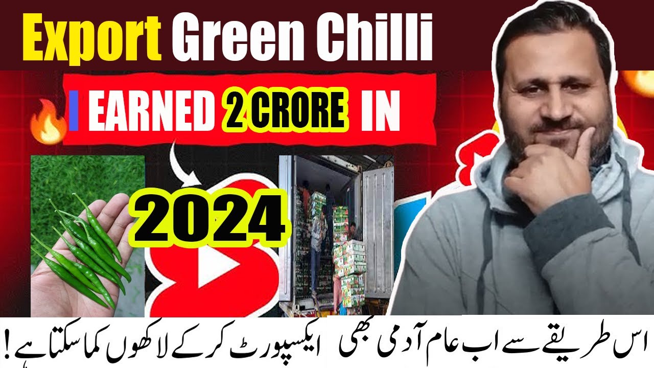 Hari Mirch Ka Chhota Business, Badi Kamai! Export Ka Naya Tareeqa 💸
